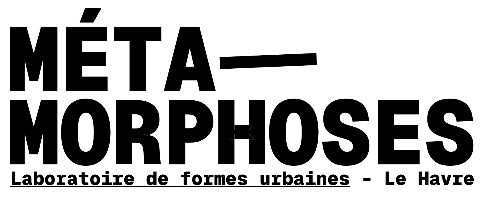 Métamorphoses — accueil